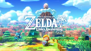 Links Awakening Part 3 Time for our tour with Marin [upl. by Enelegna]