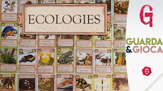 Tutorial ECOLOGIES – Il gioco di CARTE per costruire RETI ALIMENTARI  GuardaampGioca 12 [upl. by Gayle]