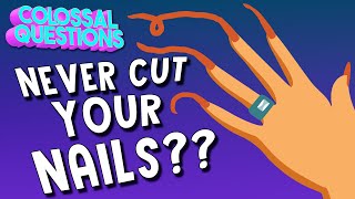 What If You Never Cut Your Fingernails  COLOSSAL QUESTIONS [upl. by Yssirc]