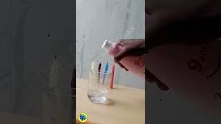 Science Experiment Video shortsvideo scienceexperiment [upl. by Barri971]