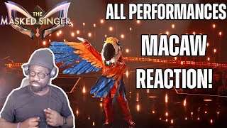 Whats Your Top 5  The Masked Singer  Macaw  All Performances and Reveal  REACTION [upl. by Aidnama]