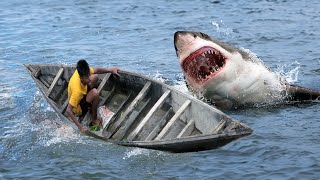 Shark Attack on Fishing Boat 8  A great White Shark Attack Short Movie [upl. by Mayer321]