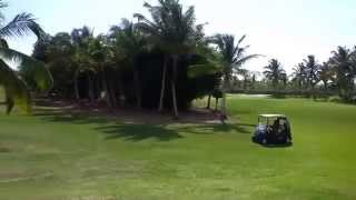 Catalonia Royal Bavaro Punta Cana Golf Course [upl. by Ymassej]