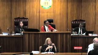 Pistorius trial witness relates Reeva Steenkamps last moments [upl. by Garges]