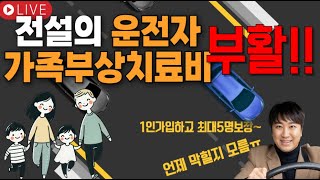 전설의 운전자보험 가족부상치료비가부치 부활 1명가입 최대5명보장 [upl. by Sivram]