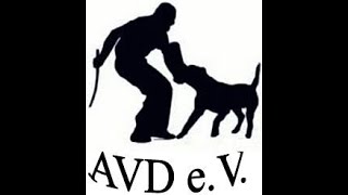 AVD eV Perro de Presa Canario Working Dogo Mondioring ipo vpg Schutzhund Schutzdienst [upl. by Sundberg]