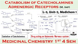 Adrenergic receptors  catabolism of catecholamines  synthesis amp release  L3 U2  medichem 1 4th [upl. by Ardnalac]