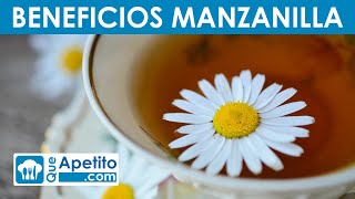 8 Propiedades y Beneficios de la Manzanilla  QueApetito [upl. by Amsirahc3]