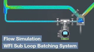 Flow Simulation WFI Sub Loop Batching System [upl. by Post]