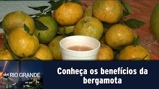 Conheça os benefícios da bergamota [upl. by Leak]