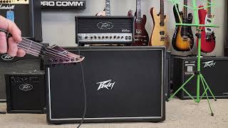 Peavey 6505 MH Clean Tone [upl. by Engracia]