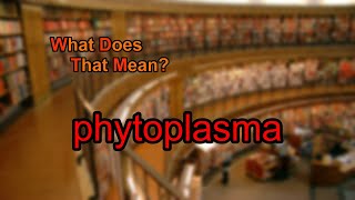 What does phytoplasma mean [upl. by Rolecnahc]