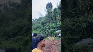 പെട്ടു guyss പെട്ടു😂😂🐕 viral trip [upl. by Chema]