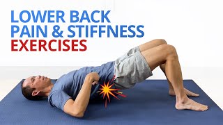 INSTANT RELIEF from Lower Back Pain and Stiffness 4 EASY Exercises [upl. by Grevera]