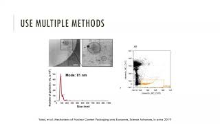 200409 Clise Dwyer EV Imaging Cytometry [upl. by Idnar]