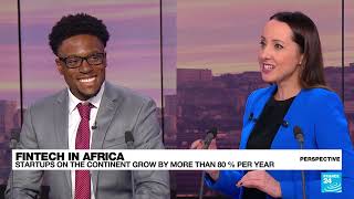 Fintech in Africa Its the next frontier if not the last frontier • FRANCE 24 English [upl. by Binni165]