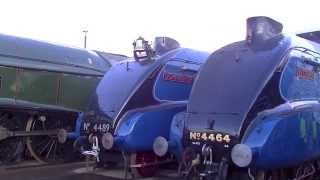 Shildon  Pacifics on Parade amp The A4 Shuffle [upl. by Acisset512]