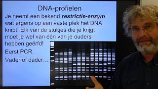 Biologie VWO BB DNA fingerprinting [upl. by Danieu]