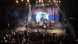 Millencolin  No Cigar Live  Pustervik Gothenburg 2018 [upl. by Erret100]