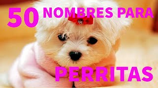 Los 50 mejores nombres para PERRITAS [upl. by Leatri]