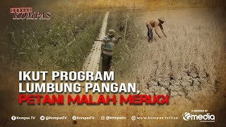 Inilah Cerita Petani Food Estate Ikut Program Lumbung Pangan Malah Rugi  BERKAS KOMPAS [upl. by Ahsirek744]