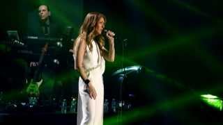 Céline Dion  Tout Lor Des Hommes Live  Bercy Paris 2013 HD [upl. by Hercules]