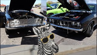 1971 Hemi Cuda vs 1963 Plymouth Savoy Max Wedge  FAST drag race [upl. by Aicenet617]