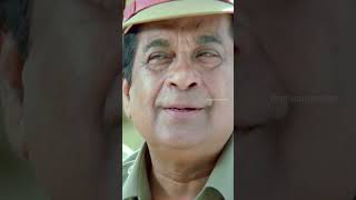 బ్రహ్మి కి అడ్డంగా దొరికిపోయిన వేణు 😂  Brahmanandam  Ramachari Movie  Venu  YouTubeShorts [upl. by Yelyr247]