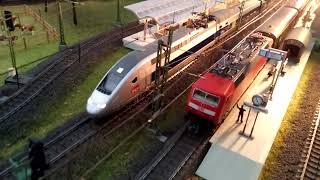 Märklin TGV SNCF [upl. by Ayrb]