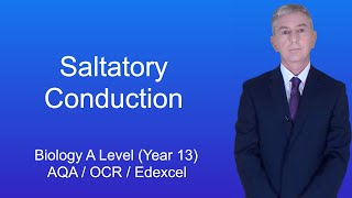 A Level Biology Revision Year 13 quotSaltatory Conductionquot [upl. by Illah]