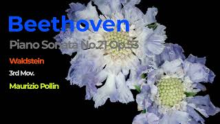 Beethoven Piano Sonata No21 Op53 Waldstein 3rd MovPollini Live [upl. by Aniham882]