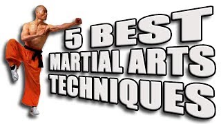 Top 5 Best Martial Arts Techniques [upl. by Enilrae]