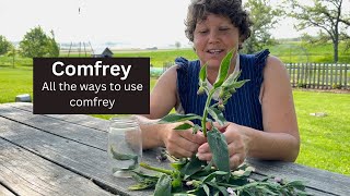 Comfrey How we use this controversial herb on the homestead [upl. by Danica]