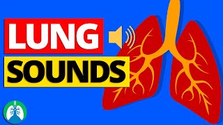 Physiological breathing  Lung Auscultation  Episode 1 [upl. by Elynad445]