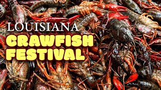 FOOD TOUR Through Louisianas LARGEST Crawfish Festival [upl. by Thedric380]