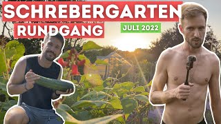 Anfänger Garten Vlog 61 Gartenrundgang im Juli alles explodiert  der perfekte Sommer 2022 [upl. by Yssis]