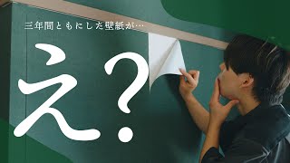 【賃貸】はがせる壁紙って本当に剥がせるの？三年間使い込んだ結果… [upl. by Pals]