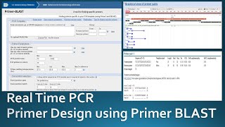 Primer designing for real time PCR using NCBI Primer Blast [upl. by Noiraa]