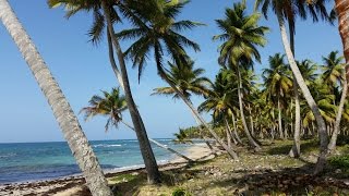 Terreno con Playa de Venta en Miches República Dominicana [upl. by Niveek]