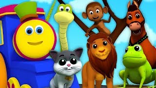 Canzone Del Suono Animale  Video Educativo  Animal Sound Song  Kids Video  Kids Tv Italian [upl. by Hege]