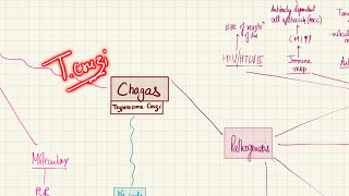 Chagas Disease Trypanosoma Cruzi  Bloodstream Infections  2nd Year MBBS  Microbiology [upl. by Jarlath]