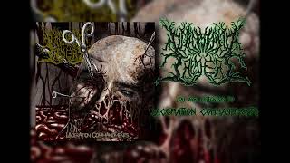 Defenestrated Treachery  Laceration Commandments Slamming Brutal Death Metal [upl. by Suirtemed]