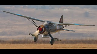 Heinies RC Warbirds at Barnstormers [upl. by Yrtneg]