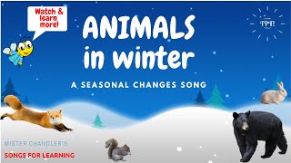 Animals in Winter Animal Adaptations Song [upl. by Shirlene873]