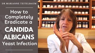 Diagnosing Candida  How We Diagnose Candida Overgrowth [upl. by Anuahs]