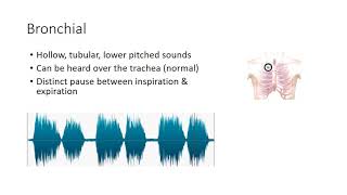 Lung Sounds Made Easy Nursing  Rhonchi Stridor Wheeze Crackles Pleural Friction Rub NGN NCLEX [upl. by Etnoj]