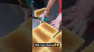 Milk Cake Making😍😋 Indian Street Food [upl. by Sollars123]