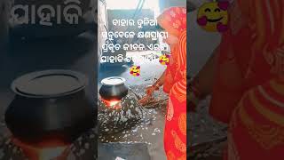 Lal gulapa phoola youtubeshort viraltrending bijayajyoti [upl. by Roberto]