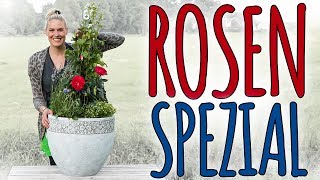 ROSEN SPEZIAL  DIE KÖNIGIN DER GÄRTEN UND IHRE BEGLEITER  DIY [upl. by Lloyd]