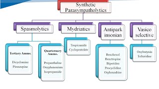 Parasympatholytic agents  Anticholinergic agents  Antimuscarinic agents  By Prof K R Rathod [upl. by Elletsyrc]